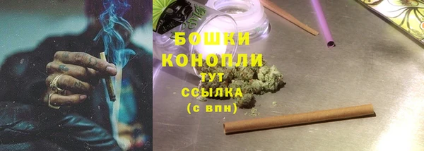 соль ск Алексеевка