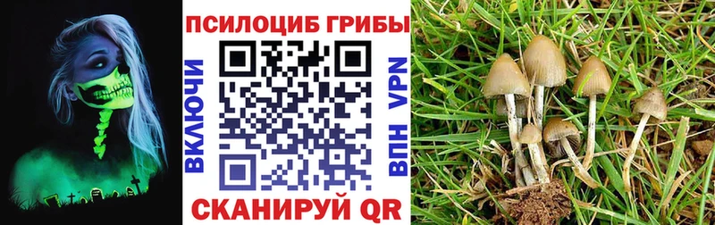 Галлюциногенные грибы мицелий Неман